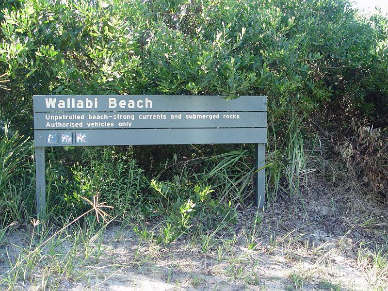 oldbar 016-wallabi.jpg